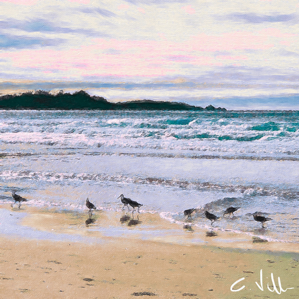 Sandpipers I Photography Art | Connie Villa Photography