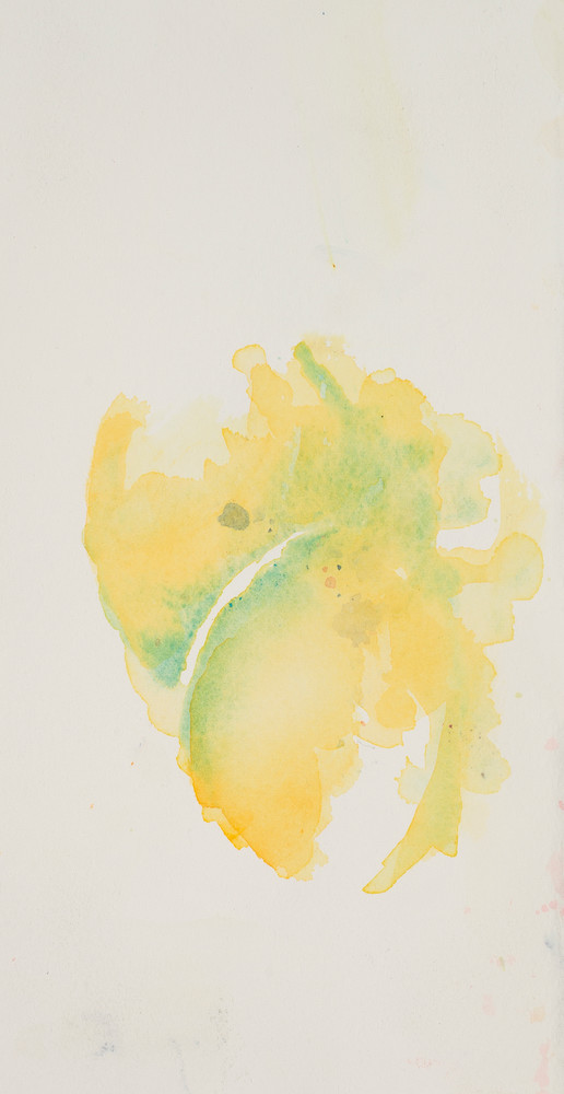 Lemons  Art | Debra Bruner Studio