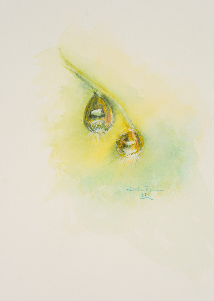 Morning Dew Drops Art | Debra Bruner Studio