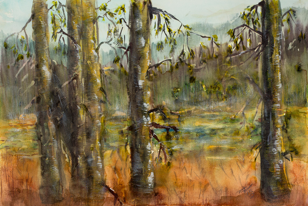 Meadows Wetlands  Art | Debra Bruner Studio