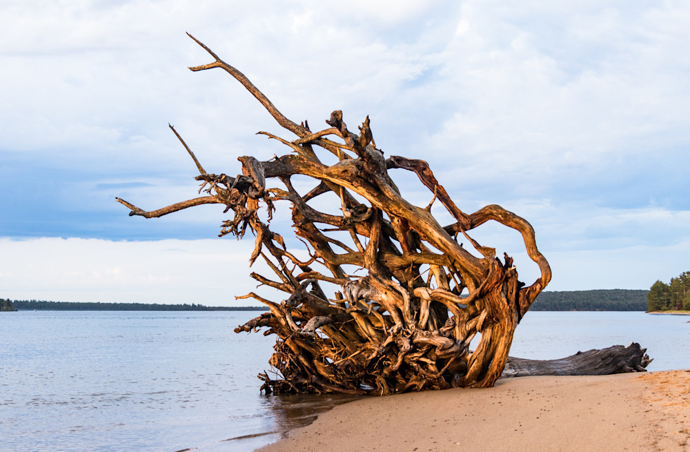 Sunset Driftwood Art | Don Peterson Photography