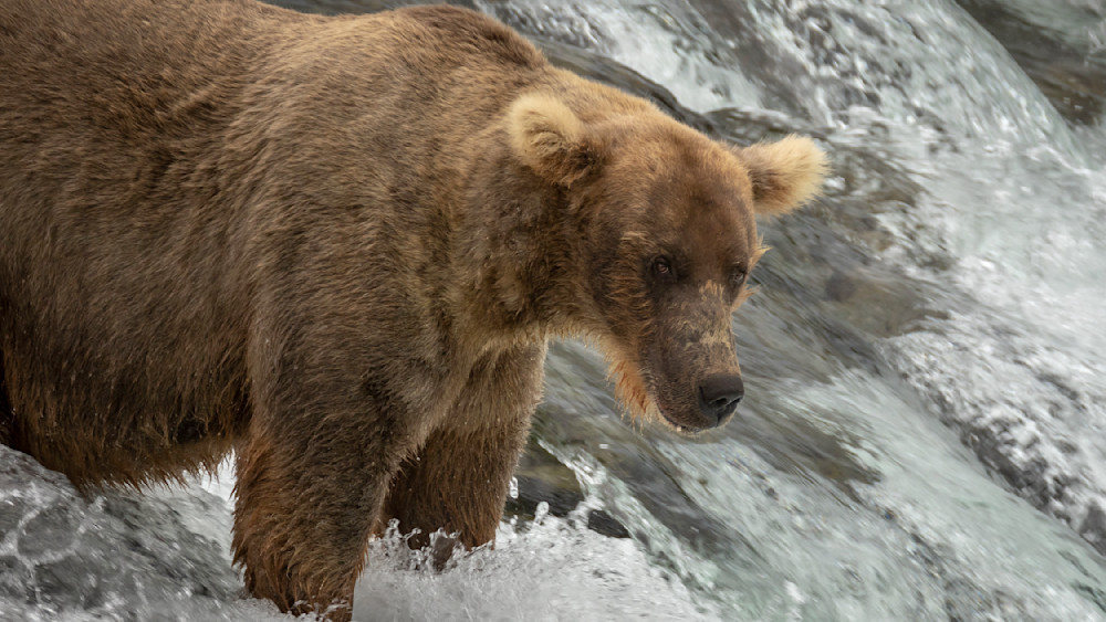 S00 A0193 Photography Art | Captured Adventure Photography