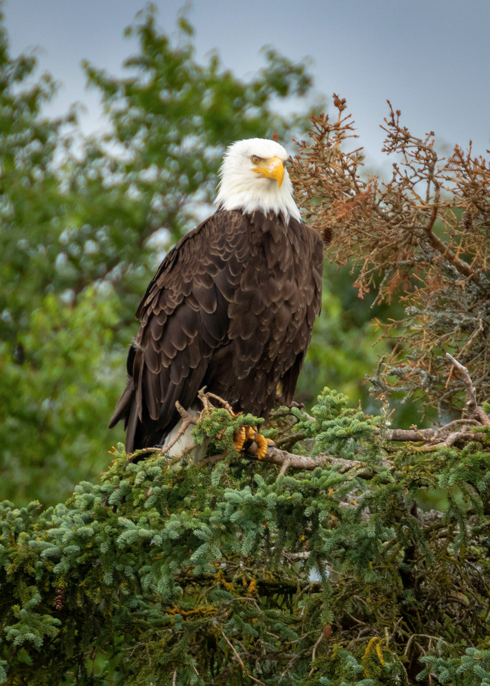 S00 A0526 Photography Art | Captured Adventure Photography