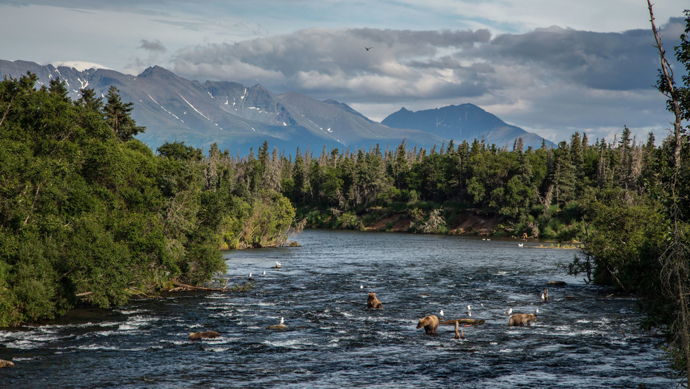 0 Y4 A0262 Photography Art | Captured Adventure Photography