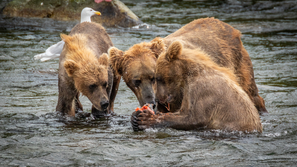 S00 A0760 Photography Art | Captured Adventure Photography