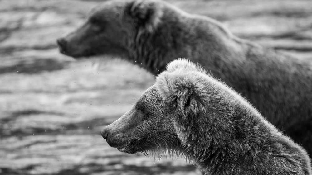 S00 A1003 Photography Art | Captured Adventure Photography