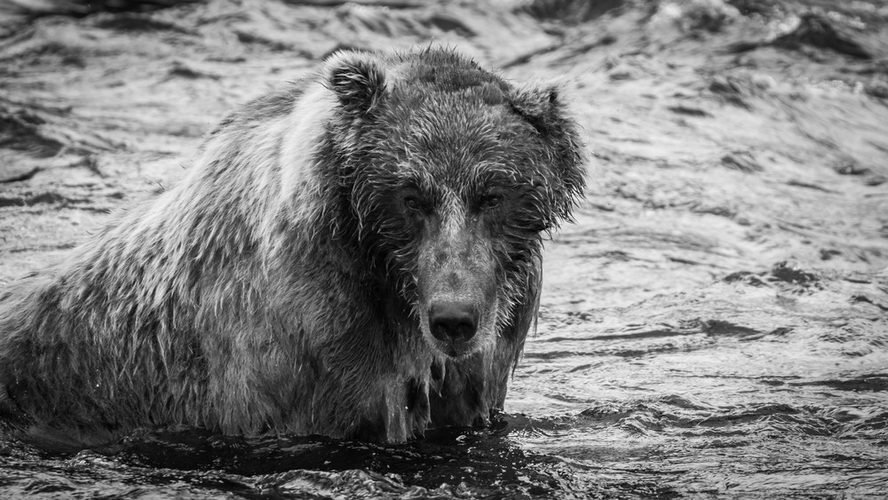 S00 A0910 Photography Art | Captured Adventure Photography