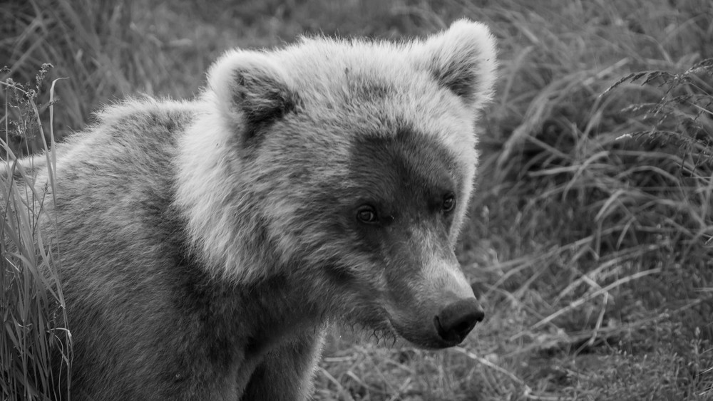 S00 A1790 Photography Art | Captured Adventure Photography