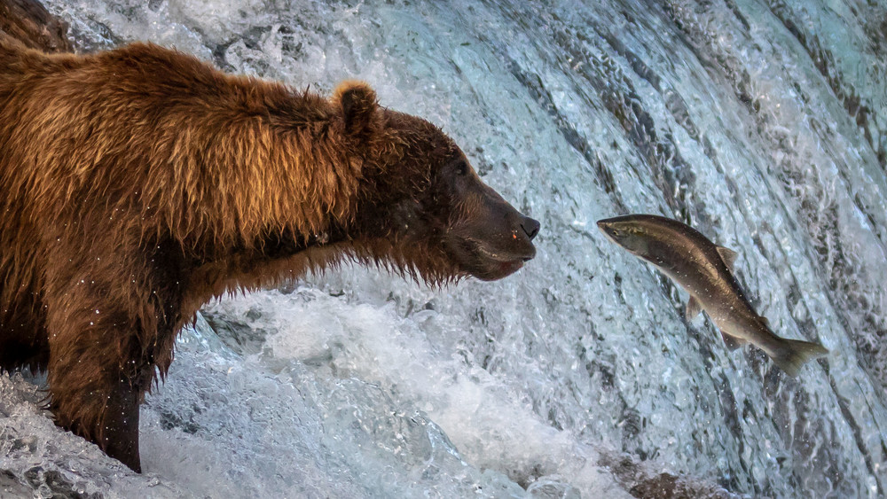 S00 A4085 Photography Art | Captured Adventure Photography