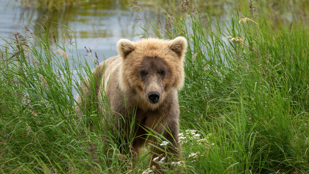 S00 A1660 Photography Art | Captured Adventure Photography