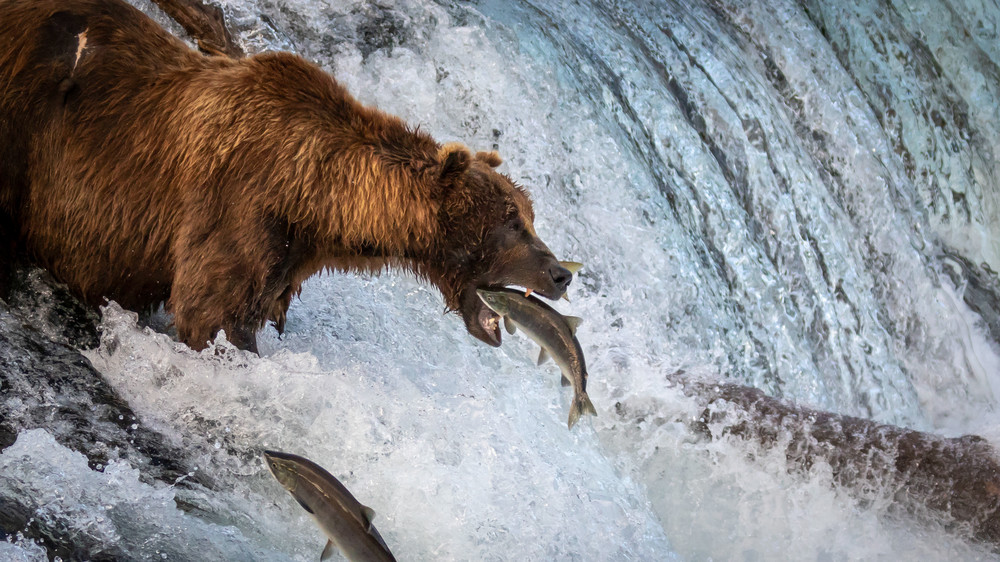 S00 A4148 Photography Art | Captured Adventure Photography