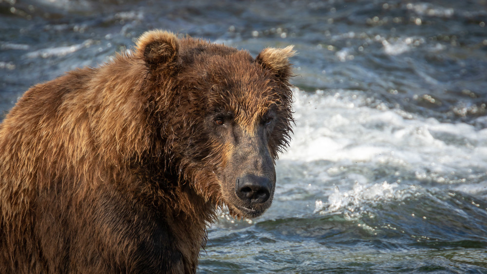 S00 A3193 Photography Art | Captured Adventure Photography