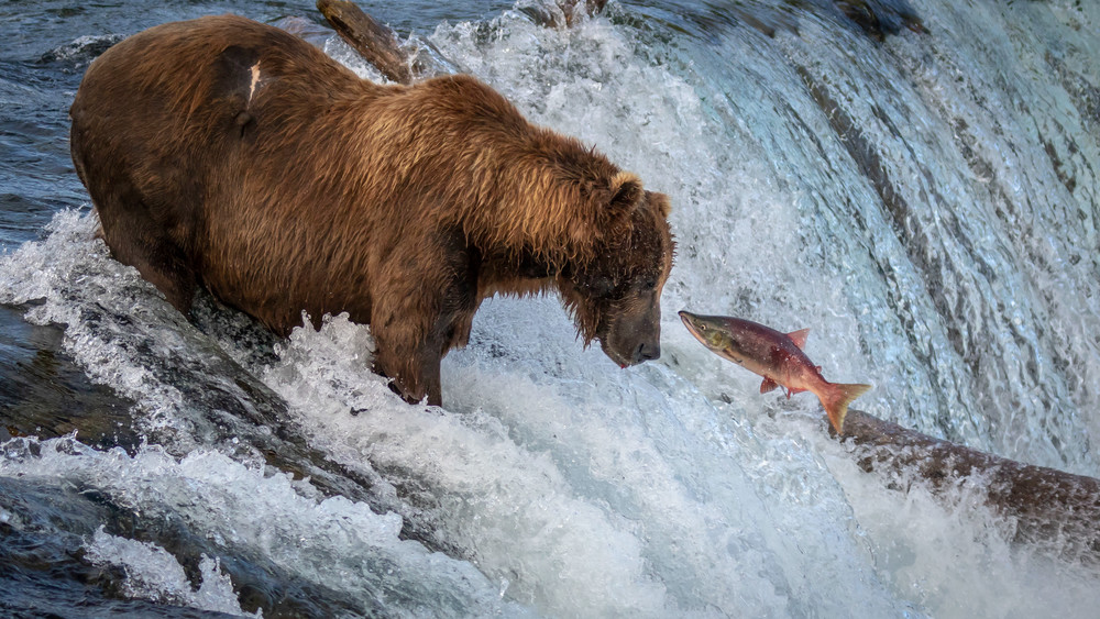 S00 A4259 1 Photography Art | Captured Adventure Photography