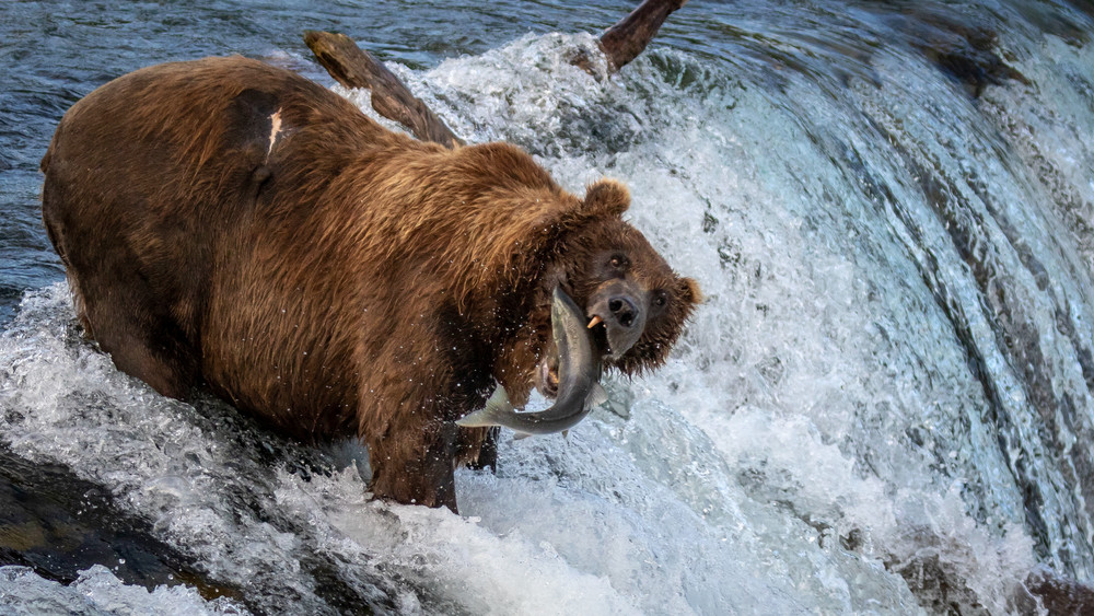 S00 A4349 1 Photography Art | Captured Adventure Photography