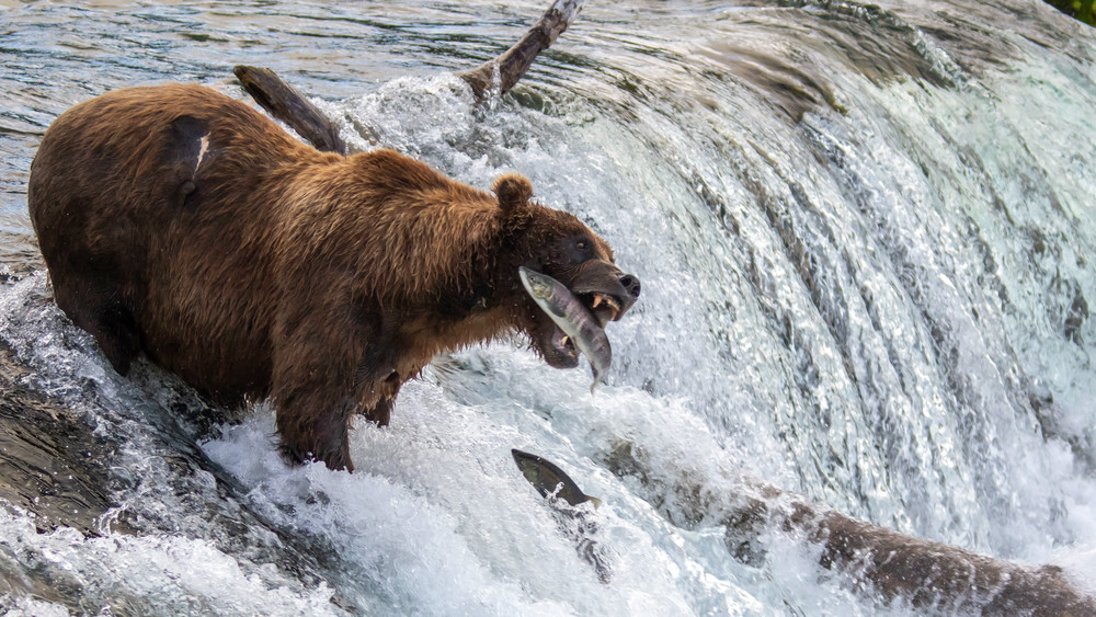 S00 A4867 Photography Art | Captured Adventure Photography