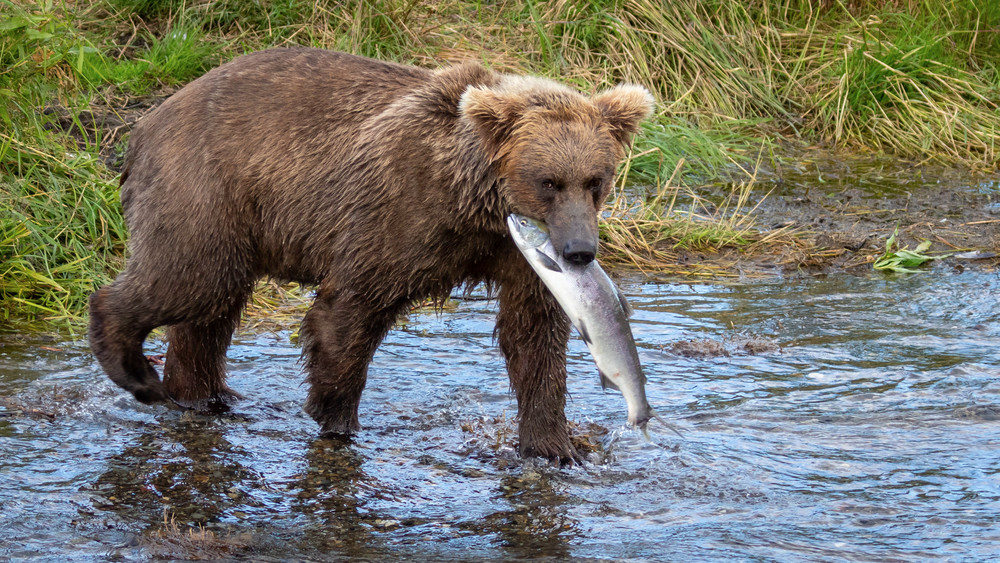 S00 A4581 Photography Art | Captured Adventure Photography