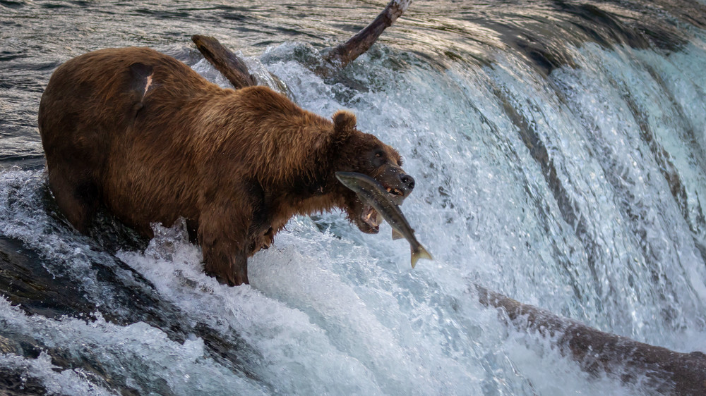 S00 A4931 Photography Art | Captured Adventure Photography