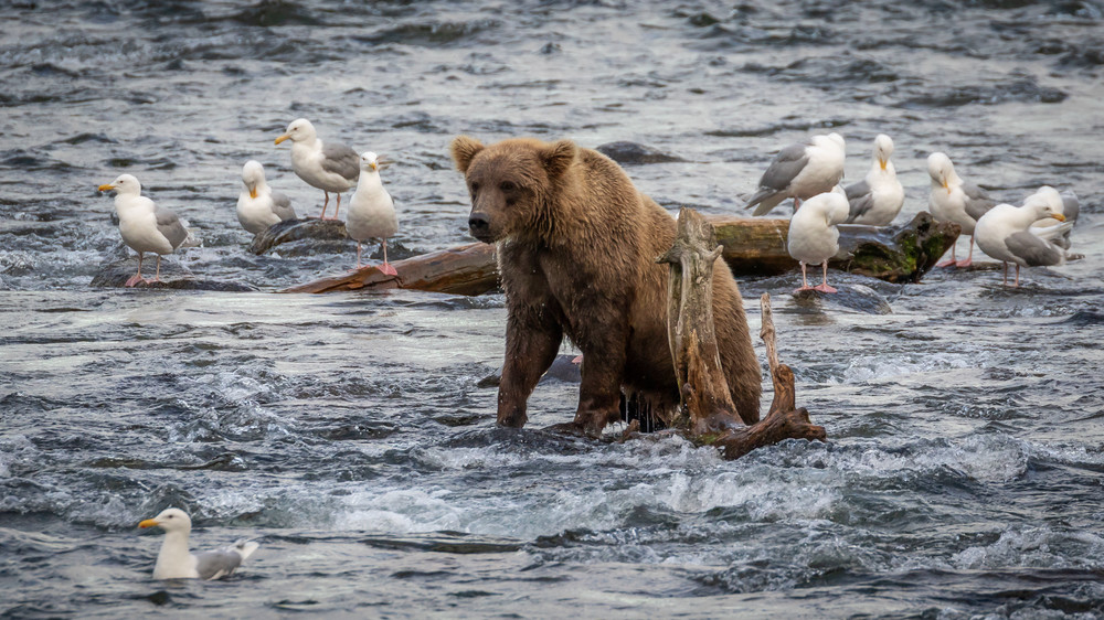 S00 A5798 Photography Art | Captured Adventure Photography