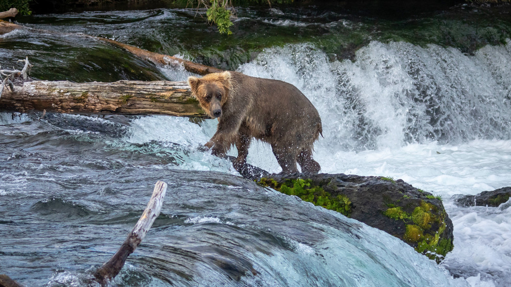 S00 A5492 Photography Art | Captured Adventure Photography