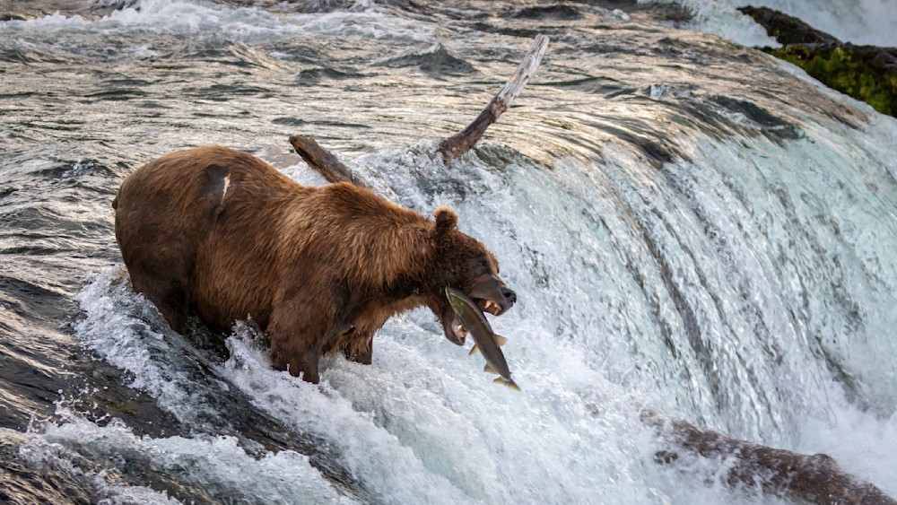 S00 A4882 Photography Art | Captured Adventure Photography