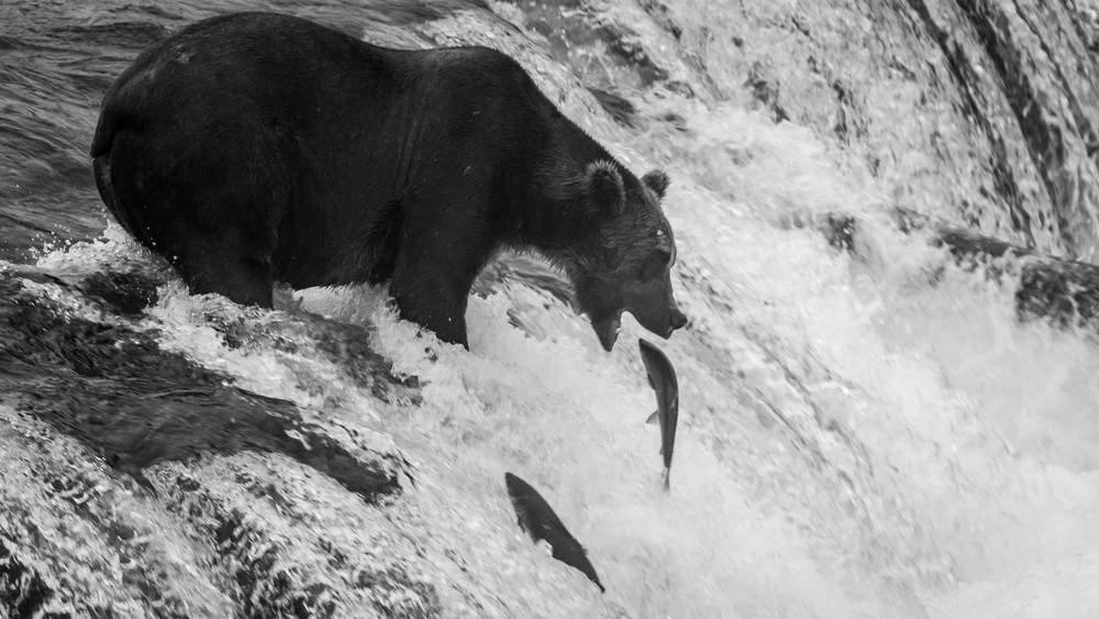 S00 A6214 Photography Art | Captured Adventure Photography