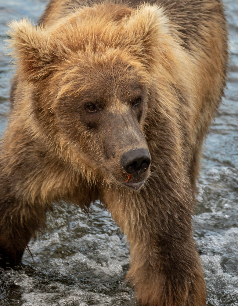 S00 A5846 Photography Art | Captured Adventure Photography