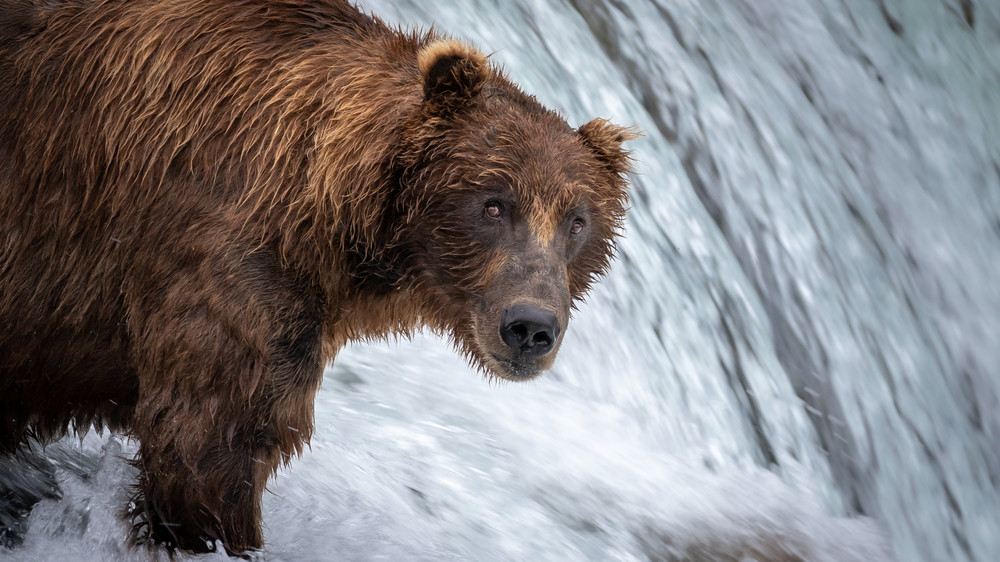 S00 A6516 Photography Art | Captured Adventure Photography