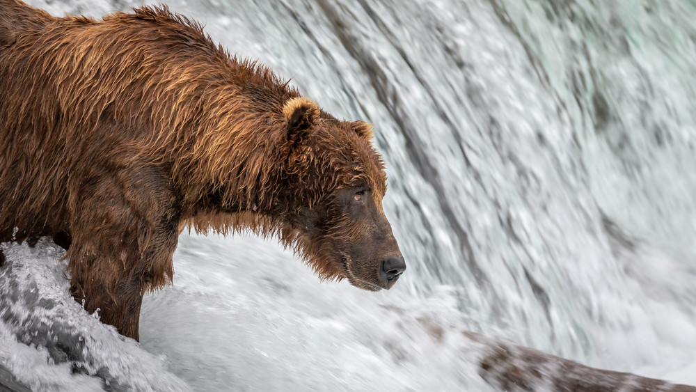 S00 A6495 Photography Art | Captured Adventure Photography