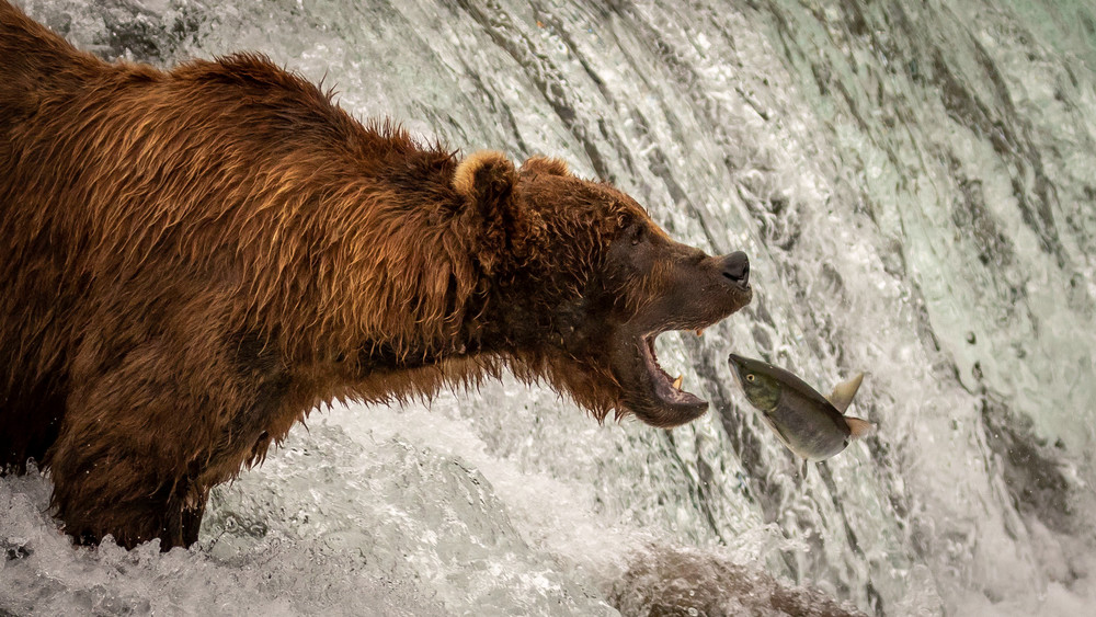 S00 A6951 Photography Art | Captured Adventure Photography