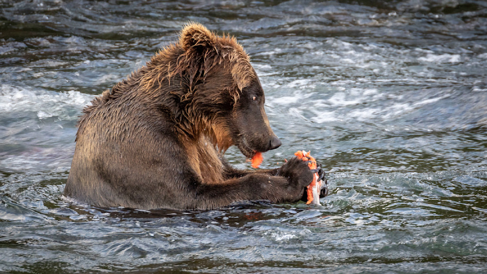 S00 A5736 Photography Art | Captured Adventure Photography