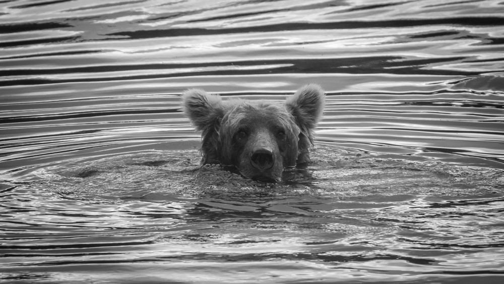 S00 A5986 1 Photography Art | Captured Adventure Photography