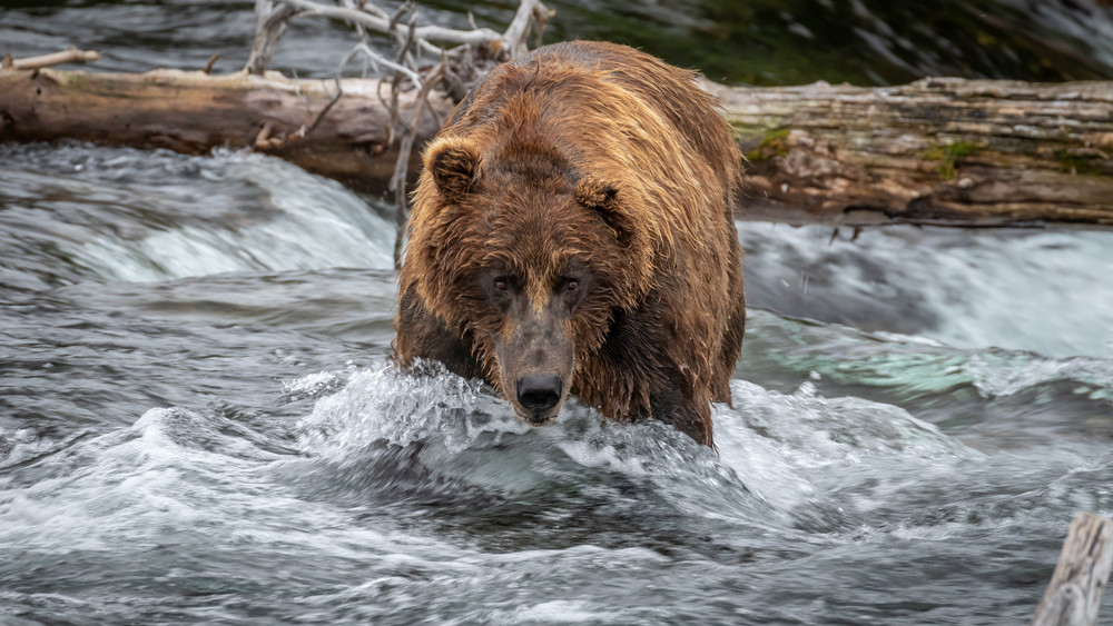 S00 A6487 Photography Art | Captured Adventure Photography