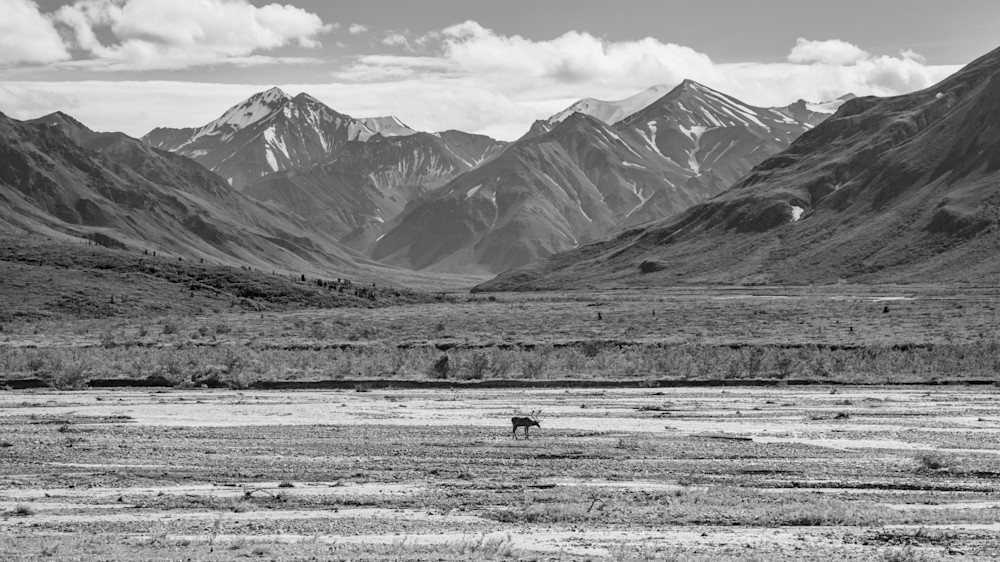 0 Y4 A6004 Photography Art | Captured Adventure Photography