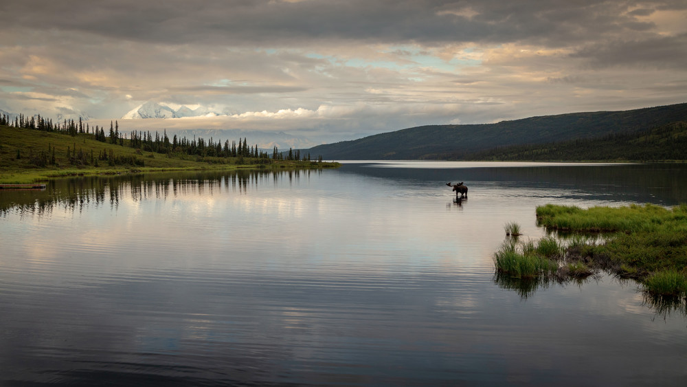 Denali National Park Photography Art | Captured Adventure Photography