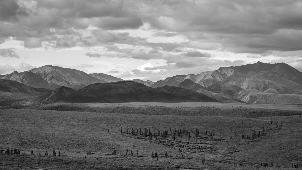 0 Y4 A6556 Photography Art | Captured Adventure Photography