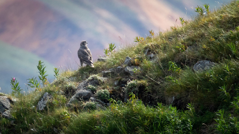 S00 A3754 Photography Art | Captured Adventure Photography