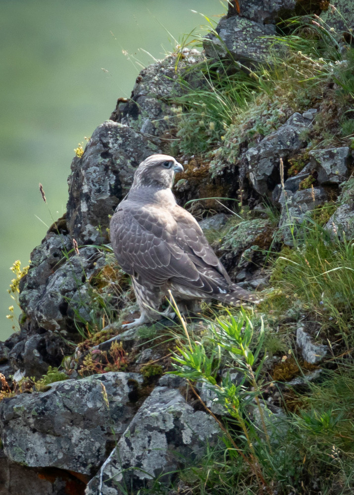 S00 A3782 Photography Art | Captured Adventure Photography