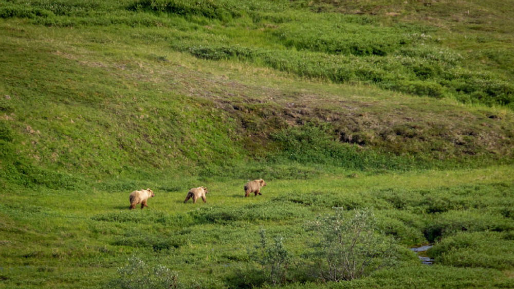 S00 A4524 Photography Art | Captured Adventure Photography