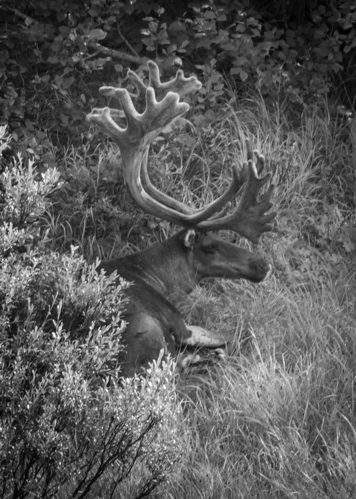 S00 A4630 1 Photography Art | Captured Adventure Photography