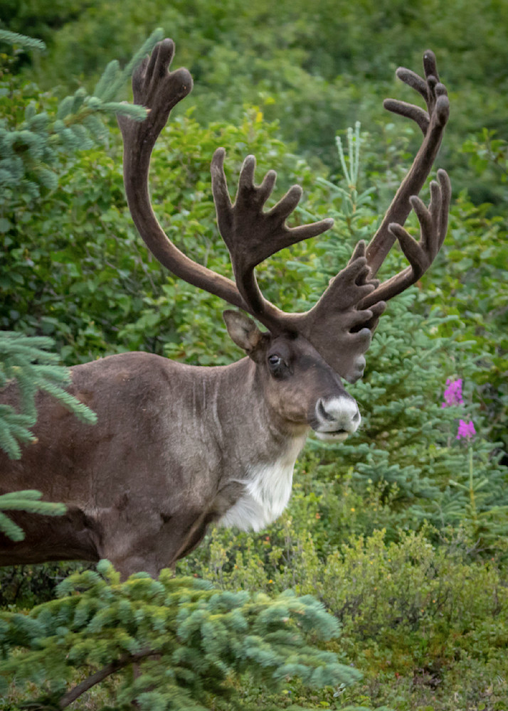 S00 A4887 Photography Art | Captured Adventure Photography