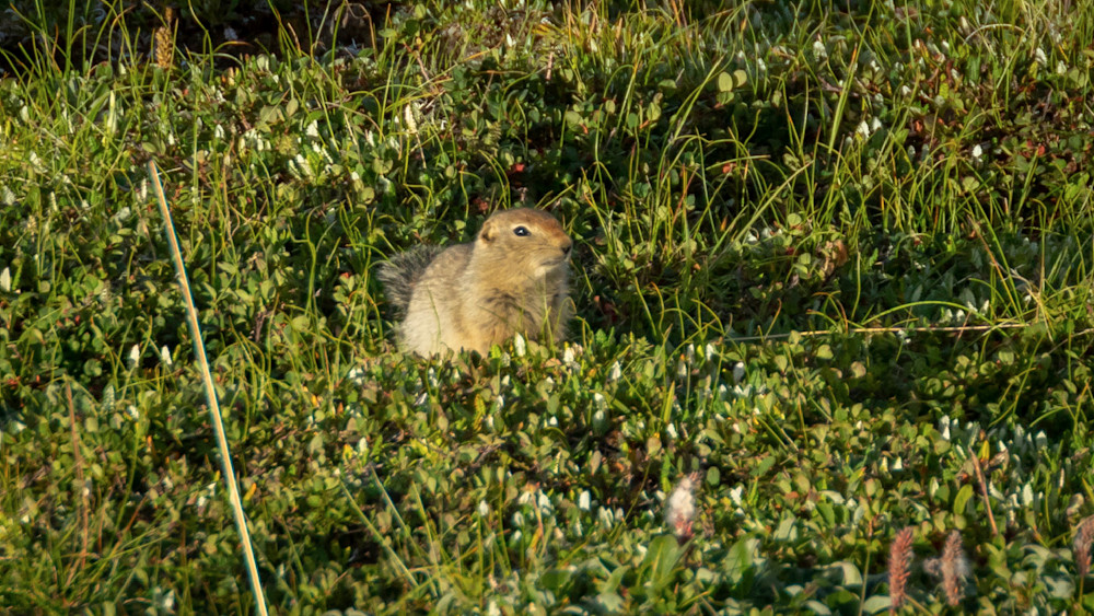 S00 A4925 Photography Art | Captured Adventure Photography