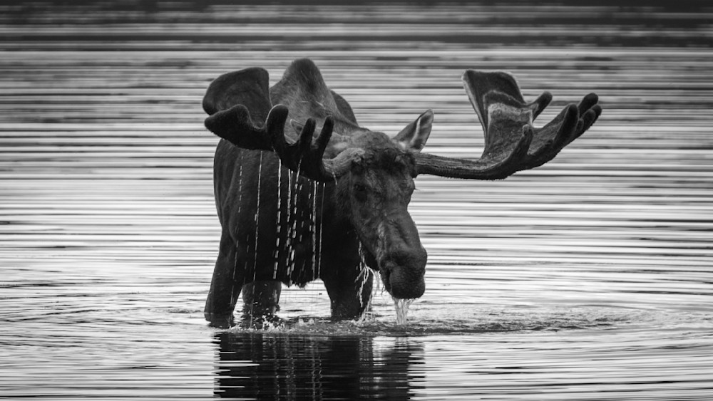 S00 A4763 Photography Art | Captured Adventure Photography