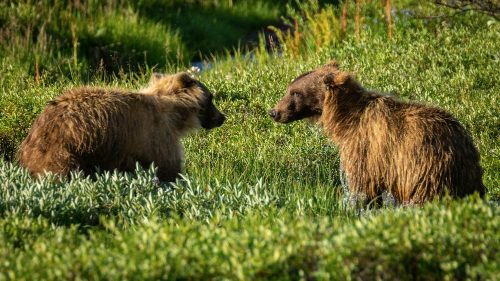 S00 A5368 Photography Art | Captured Adventure Photography