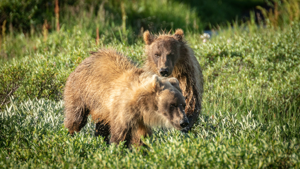 S00 A5379 Photography Art | Captured Adventure Photography