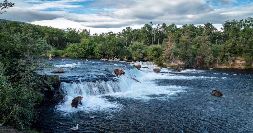 Katmai National Park 2 Photography Art | Captured Adventure Photography