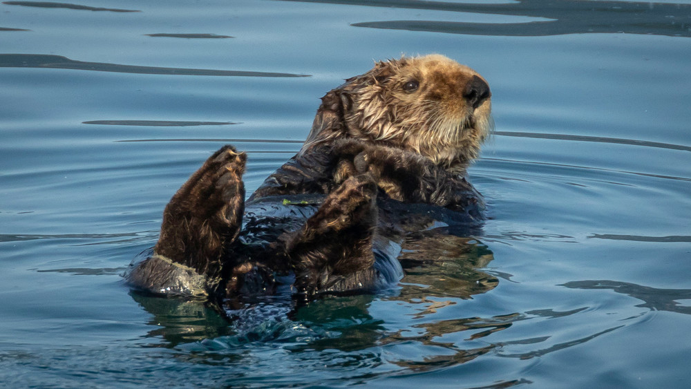 S00 A0069 Photography Art | Captured Adventure Photography