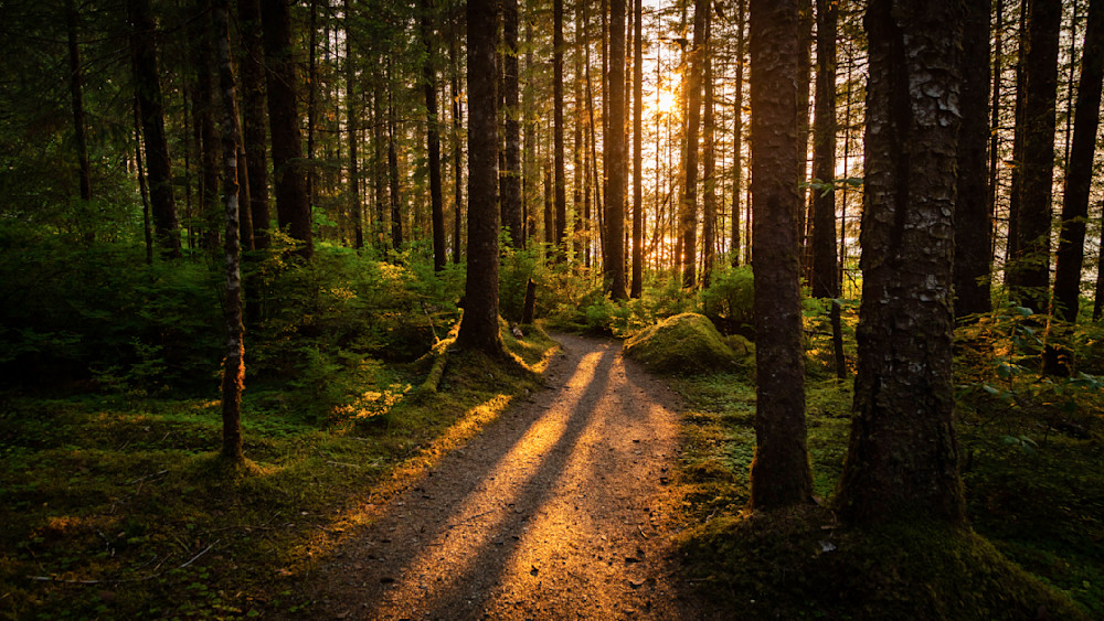 0 Y4 A4490 1 Photography Art | Captured Adventure Photography