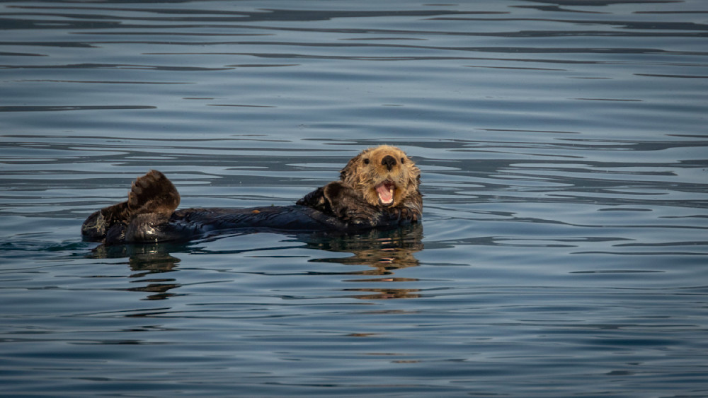 S00 A0037 Photography Art | Captured Adventure Photography