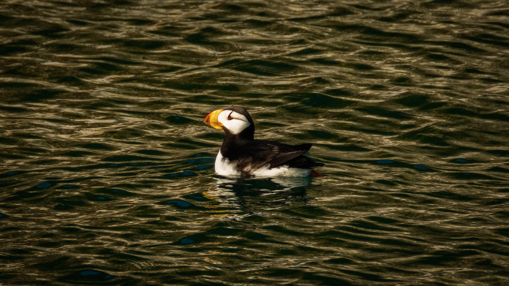 S00 A0605 Photography Art | Captured Adventure Photography