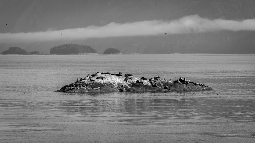 S00 A0241 Photography Art | Captured Adventure Photography